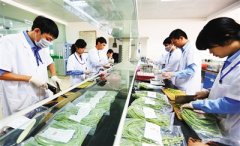 農殘快速檢測儀品牌哪個好 農殘快速檢測儀品牌哪個好