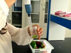 農藥殘留快速檢測儀使用說明 農藥殘留快速檢測儀使用說明