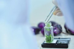 高通量農藥殘留測定儀哪個牌子好 高通量農藥殘留測定儀哪個牌子好